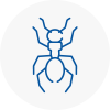 Ant Removals In Dunvant