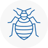 Bed Bug Extermination In Dunvant