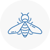 Bee Nest Removal Dunvant