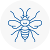 Dunvant Hornet Nest Removals