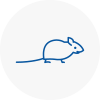 Mice Exterminators In Dunvant