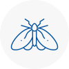 Moth Control Specialists In Dunvant