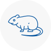Rat Control Dunvant
