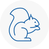Dunvant Rodent Removals