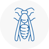 Dunvant Wasp Nest Removal